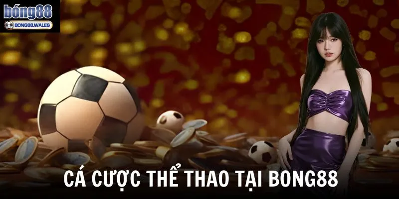 Cá cược thể thao - Sản phẩm chủ lực của Bong88