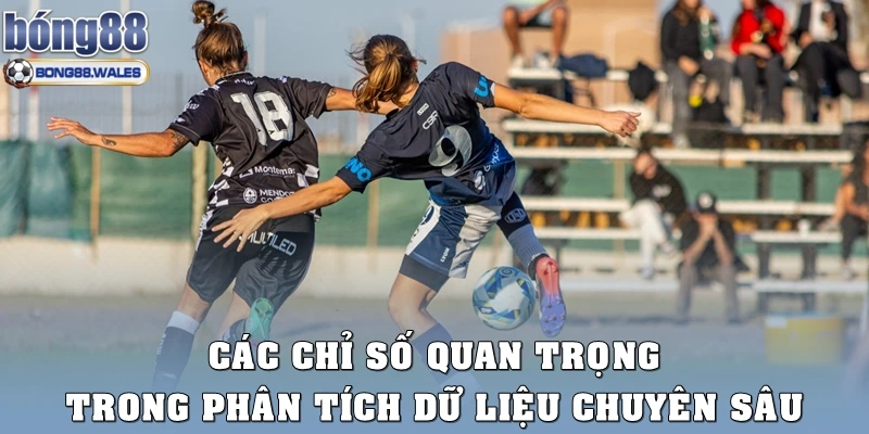 Các chỉ số quan trọng trong phân tích dữ liệu cá chuyên sâu