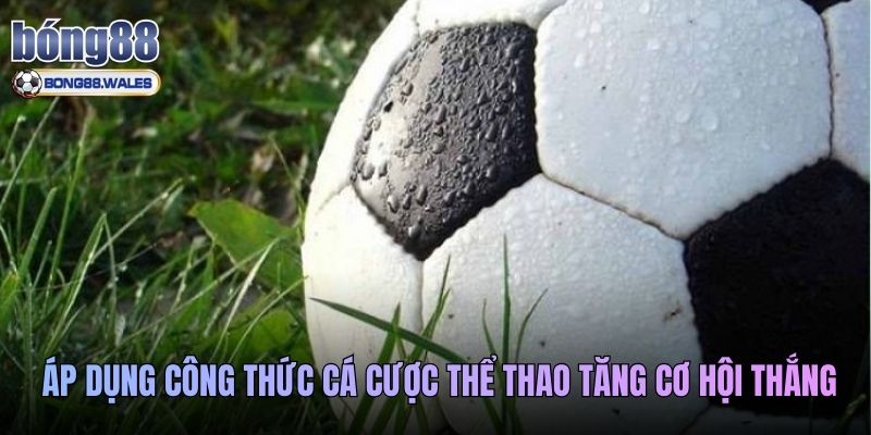 Áp dụng công thức cá cược thể thao tăng cơ hội thắng
