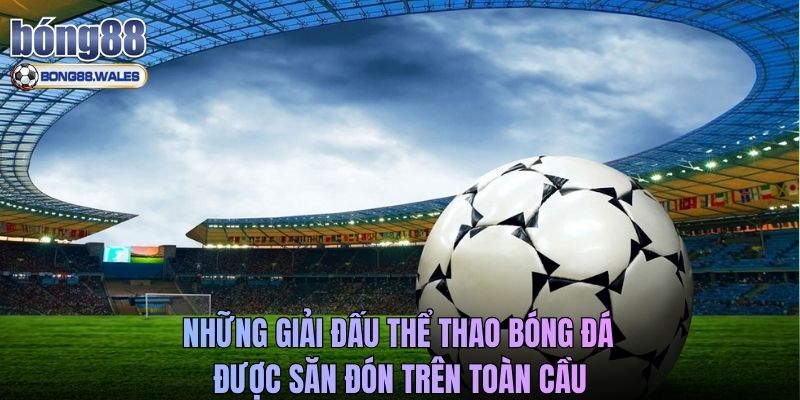 Những giải đấu thể thao bóng đá được săn đón trên toàn cầu