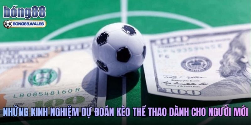 Những kinh nghiệm dự đoán kèo thể thao dành cho người mới