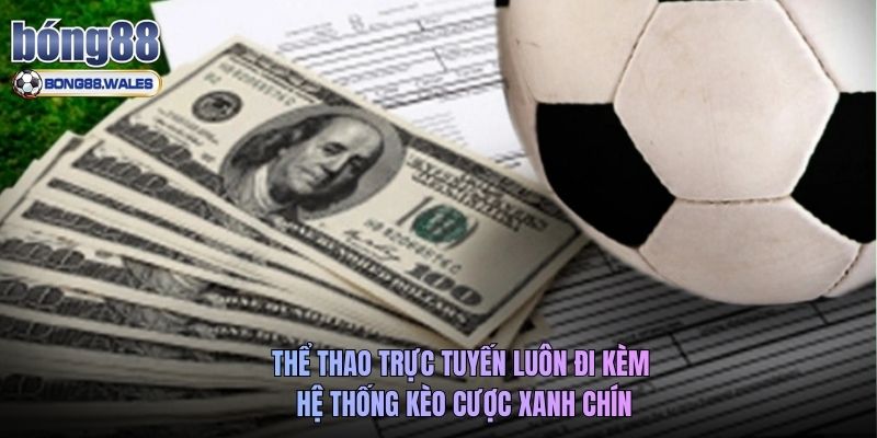 Thể thao trực tuyến luôn đi kèm hệ thống kèo cược xanh chín