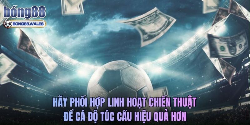 Hãy phối hợp linh hoạt chiến thuật để cá độ túc cầu hiệu quả hơn