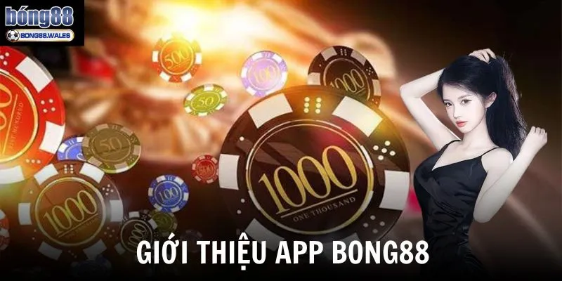 Giới thiệu app Bong88 - Ứng dụng cá cược trên tuyến ngay trên điện thoại