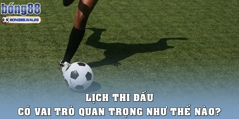 Lịch thi đấu có vai trò quan trọng như thế nào?