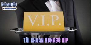 Tài Khoản Bong88 VIP