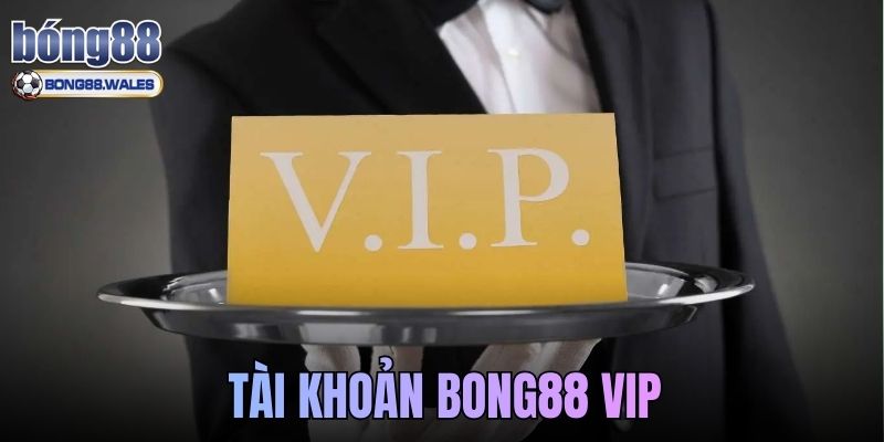 Tài Khoản Bong88 VIP