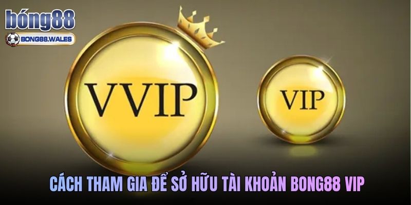 Cách tham gia để sở hữu tài khoản bong88 vip