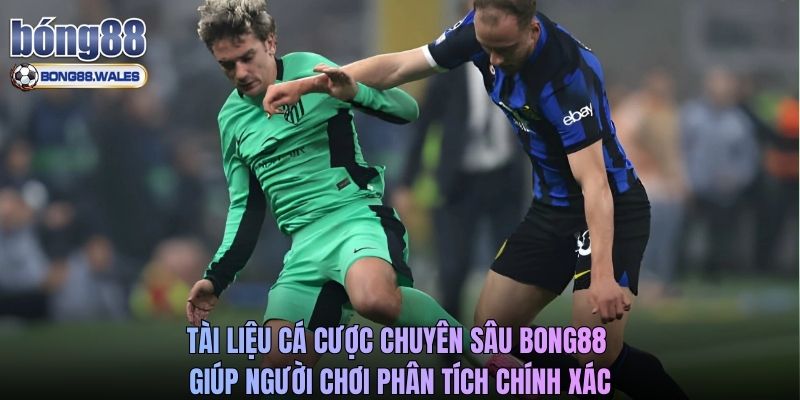 Tài liệu cá cược chuyên sâu Bong88 giúp người chơi phân tích chính xác