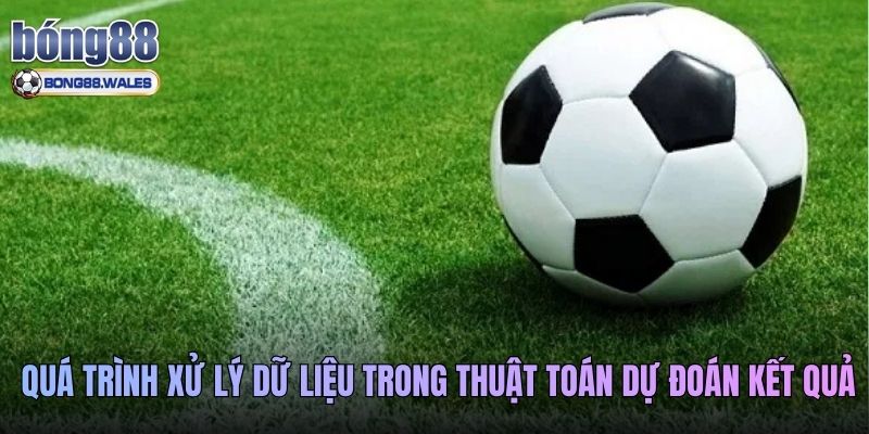 Quá trình xử lý dữ liệu trong thuật toán dự đoán kết quả