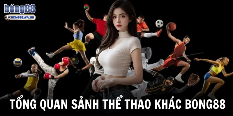 Tổng quan sảnh thể thao khác Bong88