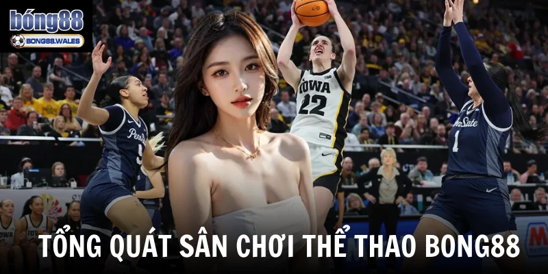 Tổng quát sân chơi thể thao Bong88